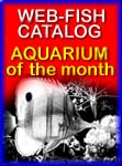 Aquarium of the Month Award