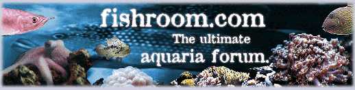 Fishroom Logo